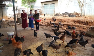 Phụ nữ thị trấn Đắk Mil sẻ chia với hội viên nghèo