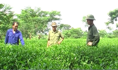 Học và làm theo Bác bằng những việc làm thiết thực