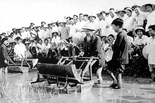 Bác Hồ dùng thử máy cấy lúa cải tiến tại Trại Thí nghiệm trồng lúa Sở Nông lâm Hà Nội, tháng 7/1960