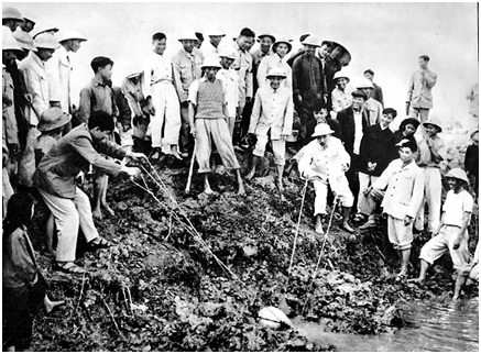 Hồ Chủ tịch tát nước chống hạn ở cánh đồng Quang Tô, xã Đại Thanh, tỉnh Hà Tây (1958).
