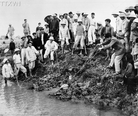 Hồ Chủ tịch tham gia tát nước chống hạn ở cánh đồng Quang Tó, xã Đại Thanh, tỉnh Hà Tây (1958)