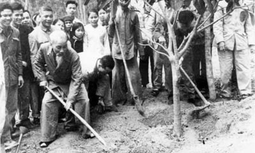 Chủ tịch Hồ Chí Minh với Tết trồng cây