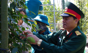 Lực lượng vũ trang tỉnh Bà Rịa - Vũng Tàu làm theo lời Bác dạy