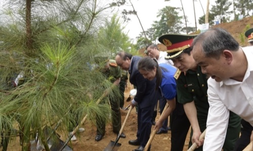Chủ tịch nước dự Lễ phát động trồng cây "Đời đời nhớ ơn Bác Hồ"