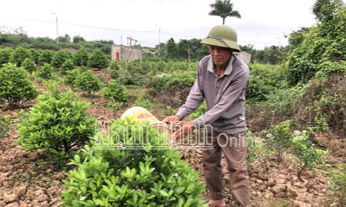 Nam Định: Những điển hình nông dân làm theo lời Bác