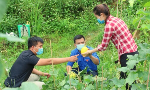 Lai Châu: Thanh niên Than Uyên học và làm theo Bác