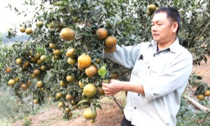 Bắc Quang (Hà Giang): Phát huy vai trò của nông dân trong thời đại mới
