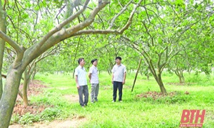 Thanh Hóa: Đảng bộ huyện Yên Định thi đua làm theo lời Bác