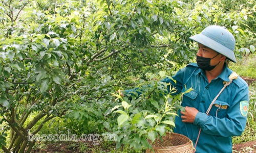 Tập trung giúp dân xóa đói, giảm nghèo