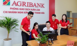 Agribank Nam Thanh Hóa đẩy mạnh học tập và làm theo Bác