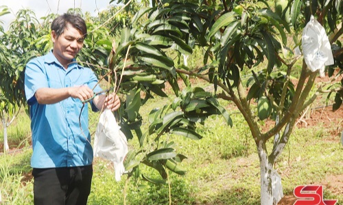 Học và làm theo Bác gắn với nhiệm vụ phát triển kinh tế - xã hội