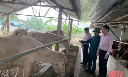 Thanh Hóa: Học và làm theo Bác ở NHCSXH huyện Nông Cống