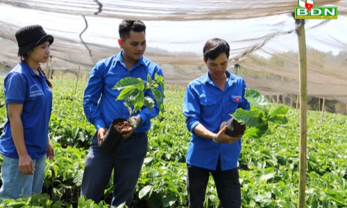 Đi đầu làm gương thì mới nói được bà con