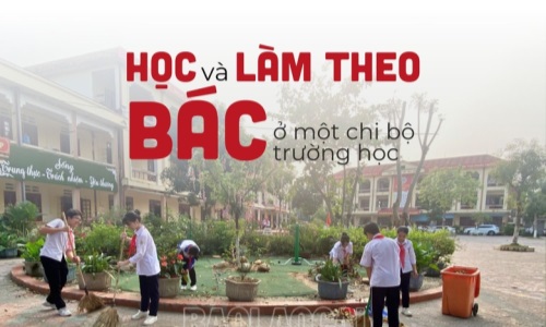 Chi bộ Trường THCS Ngô Văn Sở học và làm theo Bác