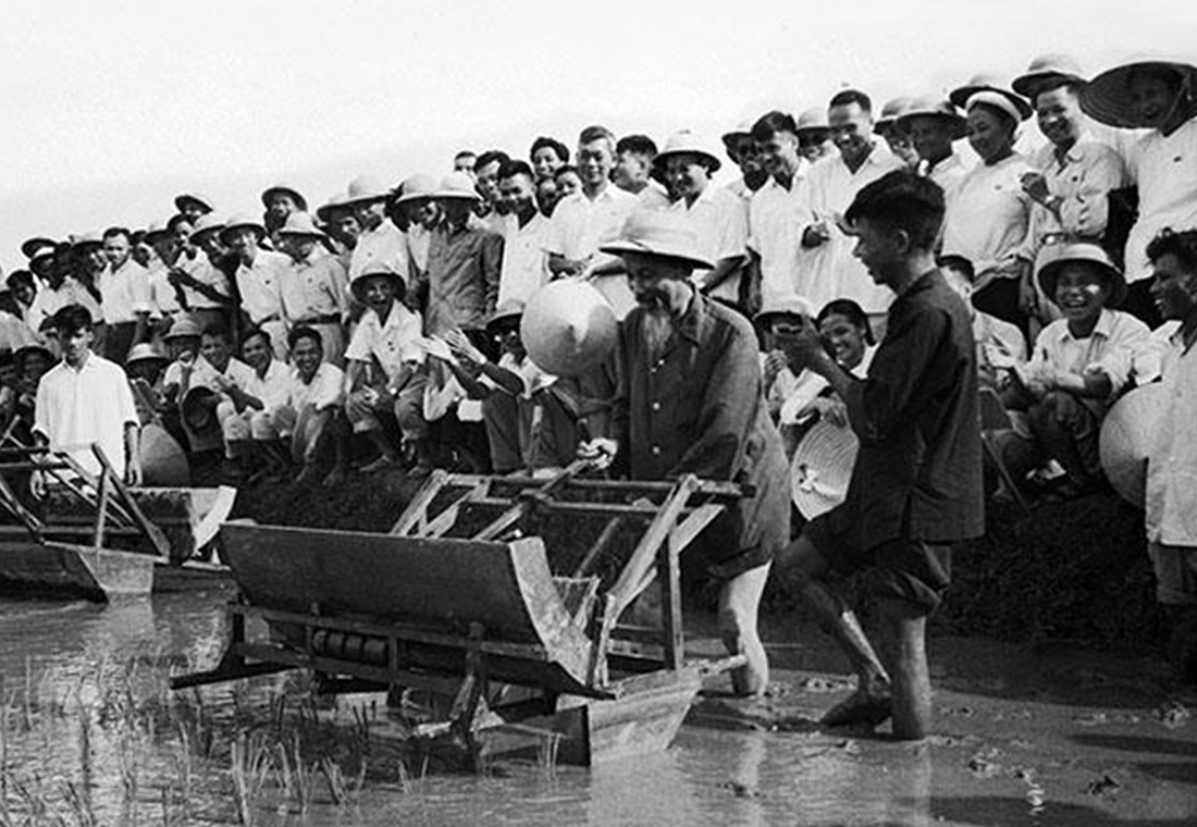 Chủ-tịch Hồ Chí Minh đến thăm Sở Nông Lâm Hà Nội và sử dụng thử chiếc máy cấy tại ruộng thí nghiệm của Sở tháng 7/1960. (Ảnh tư liệu)