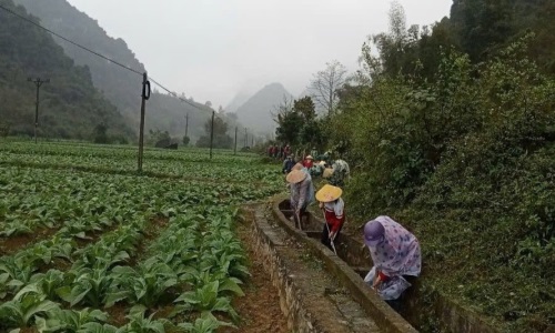 Hà Quảng xây dựng và nhân rộng 188 mô hình, điển hình tiên tiến học tập và làm theo Bác