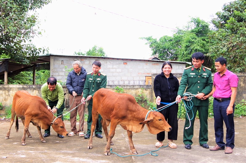 Đoàn Kinh tế - Quốc phòng 337 cấp con giống cho các hộ gia đình khó khăn trên địa bàn để phát triển kinh tế, xoá đói giảm nghèo.