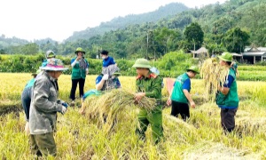 Xây dựng mô hình, điển hình học và làm theo Bác