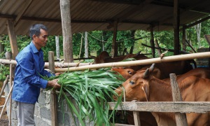 Những “triệu phú” mang họ Bác Hồ