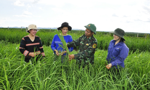 Làm theo lời Bác, Công ty 74 thực hiện tốt công tác dân vận vùng đồng bào dân tộc thiểu số, tôn giáo