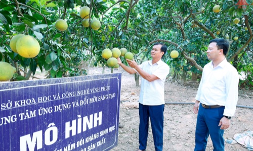 Vĩnh Phúc: Sáng mãi phẩm chất “Bộ đội Cụ Hồ”