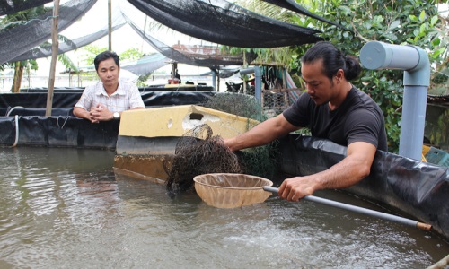 Tấm gương sáng về tinh thần sáng tạo, học tập và làm theo gương Bác