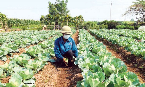 Gia Bình gắn việc học và làm theo Bác với phong trào thi đua yêu nước