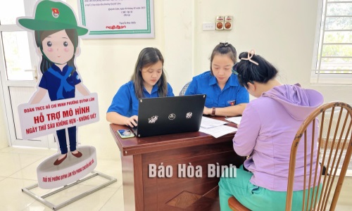 Tuổi trẻ phường Quỳnh Lâm học tập và làm theo Bác