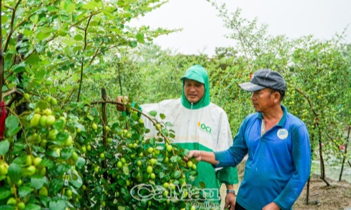 Học và làm theo Bác để sống đẹp, sống có ích