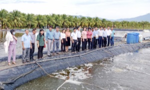Hội nông dân các cấp: Lan tỏa học tập và làm theo Bác
