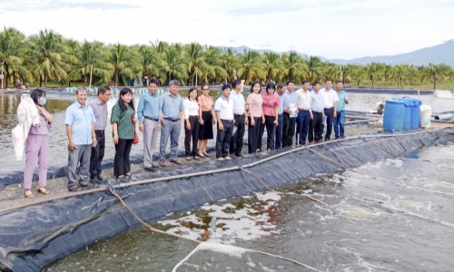 Hội nông dân các cấp: Lan tỏa học tập và làm theo Bác