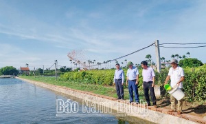 Nông dân Hải Hậu học và làm theo Bác