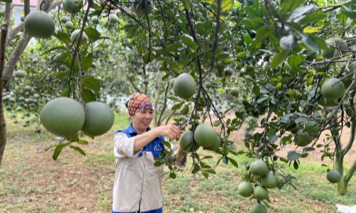 Phúc Yên khắc ghi lời Bác dạy