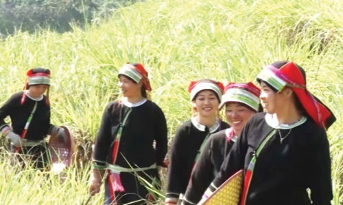 Tỏa sáng những điển hình học và làm theo Bác