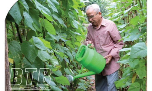 Thái Bình: Nhân lên những giá trị tốt đẹp từ học Bác