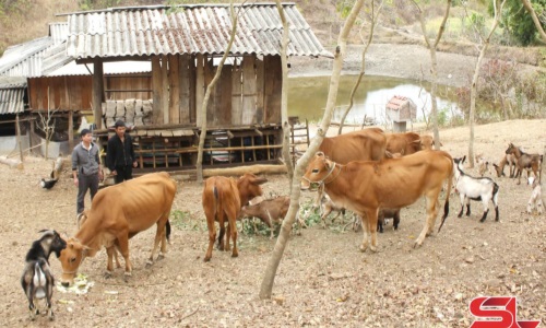 “Dân vận khéo” là việc làm thường xuyên, liên tục
