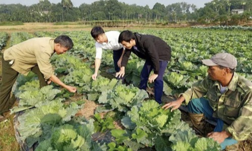 Đảng bộ xã Âu Lâu thực hiện tốt Chỉ thị 05