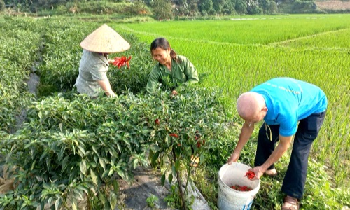 Nâng cao trách nhiệm, hiệu quả công việc