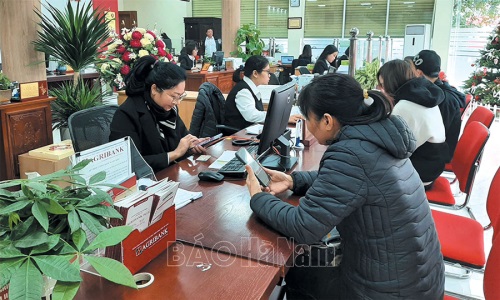 Đảng bộ Agribank Chi nhánh Hà Nam II tích cực học tập và làm theo Bác