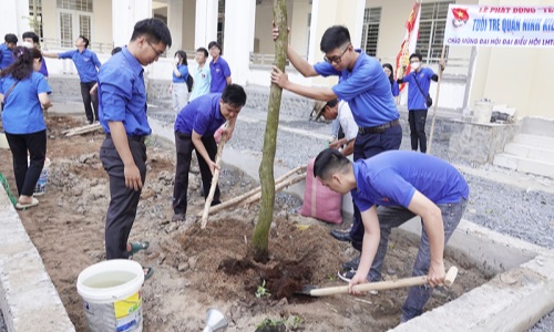 Góp sức trẻ xây dựng quê hương