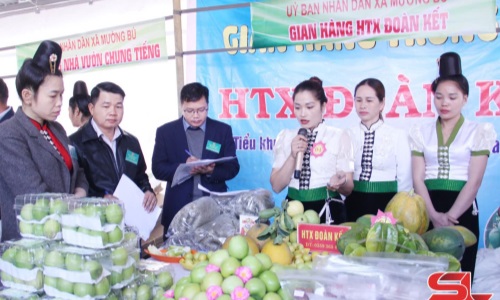 Học tập và làm theo Bác để phát triển kinh tế
