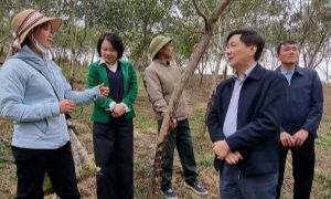 Hội Nông dân huyện Văn Chấn thiết thực học và làm theo Bác