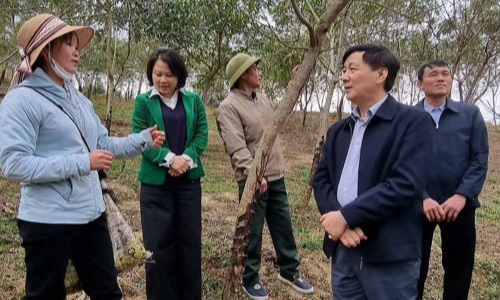 Hội Nông dân huyện Văn Chấn thiết thực học và làm theo Bác