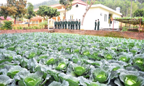 Bắc Ninh: Ngành Hậu cần học và làm theo Bác