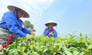 Khắc ghi lời căn dặn của Bác