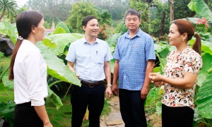 Noi gương Bác làm nhiều việc tốt