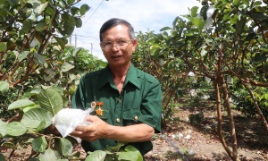 Cựu chiến binh Nguyễn Văn Khởi nêu gương sáng học tập và làm theo Bác
