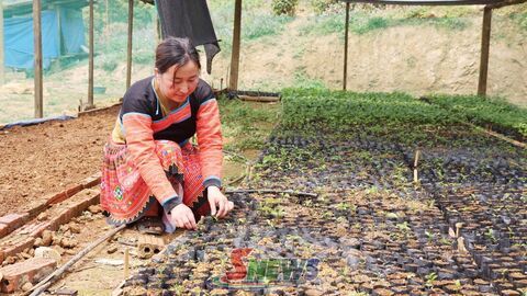 Suối Tọ thực hiện hiệu quả các khâu đột phá