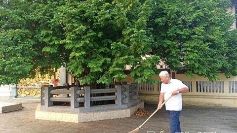 Gốc khế lịch sử và câu chuyện về Bác Hồ