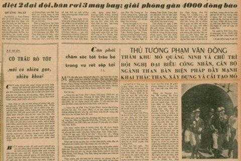 Cần phải chăm sóc tốt trâu bò trong vụ rét sắp tới